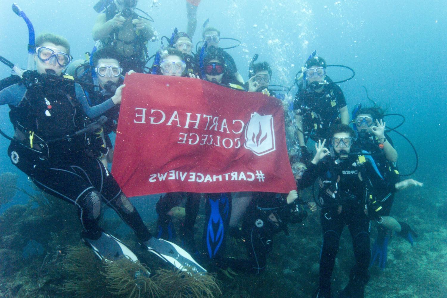 学生们手持<a href='http://studentexperience.edu812.com'>bv伟德ios下载</a>旗帜，在j学期洪都拉斯游学之旅中潜水.